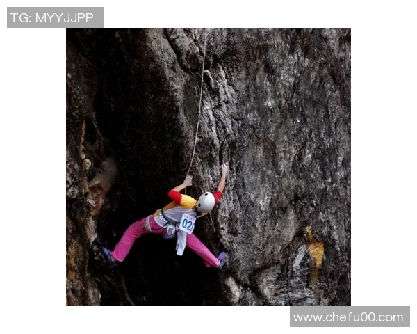 南京攀岩队的团队协作探索与挑战之旅