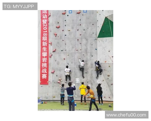 南京攀岩队团队协作变革引发热议探索新高度与挑战
