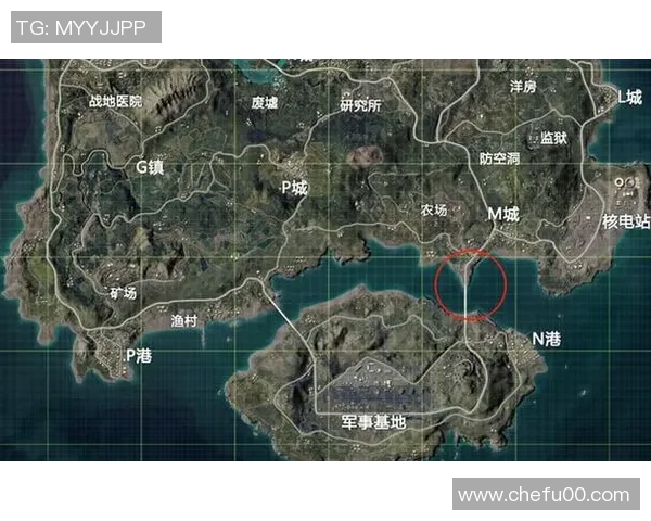 和平精英巨献：深入解析BLG战队的战术灵活性与团队协作秘诀